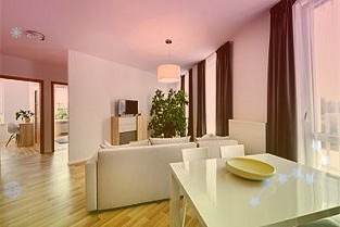 保障房建设有望提振地产投资未来成长可期的研究报告
